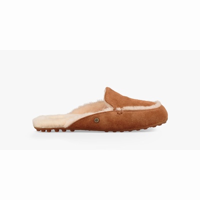 Chinelos UGG Lane Slip-On Mulher Marrom | PT-XWVNT